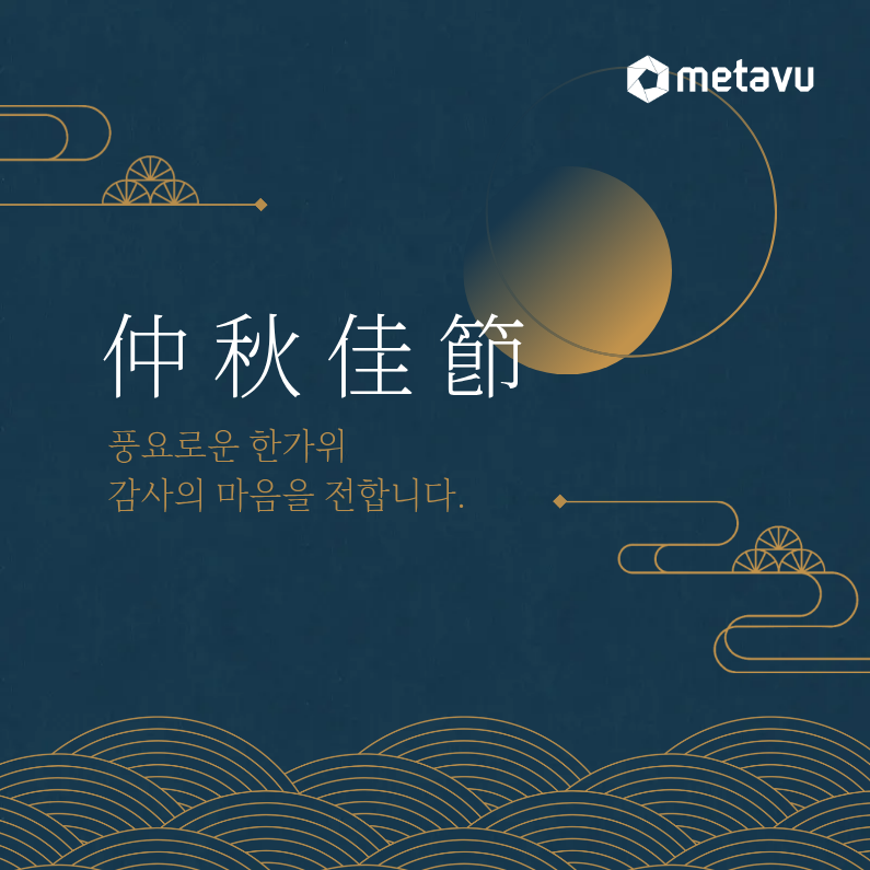 MetaVu 뉴스레터 상단 카드